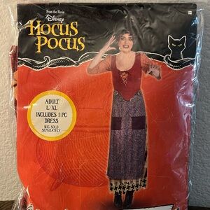 Disney Hocus Pocus Witch Dress Costume - Red and Purple